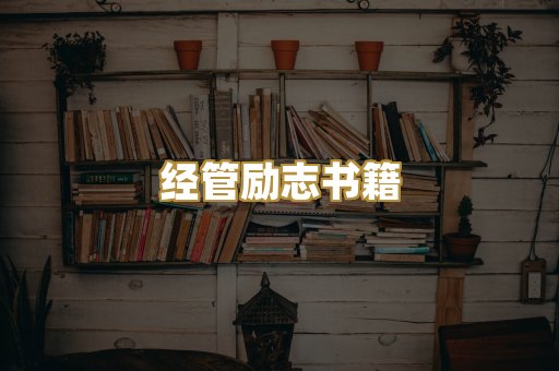 经管励志书籍
